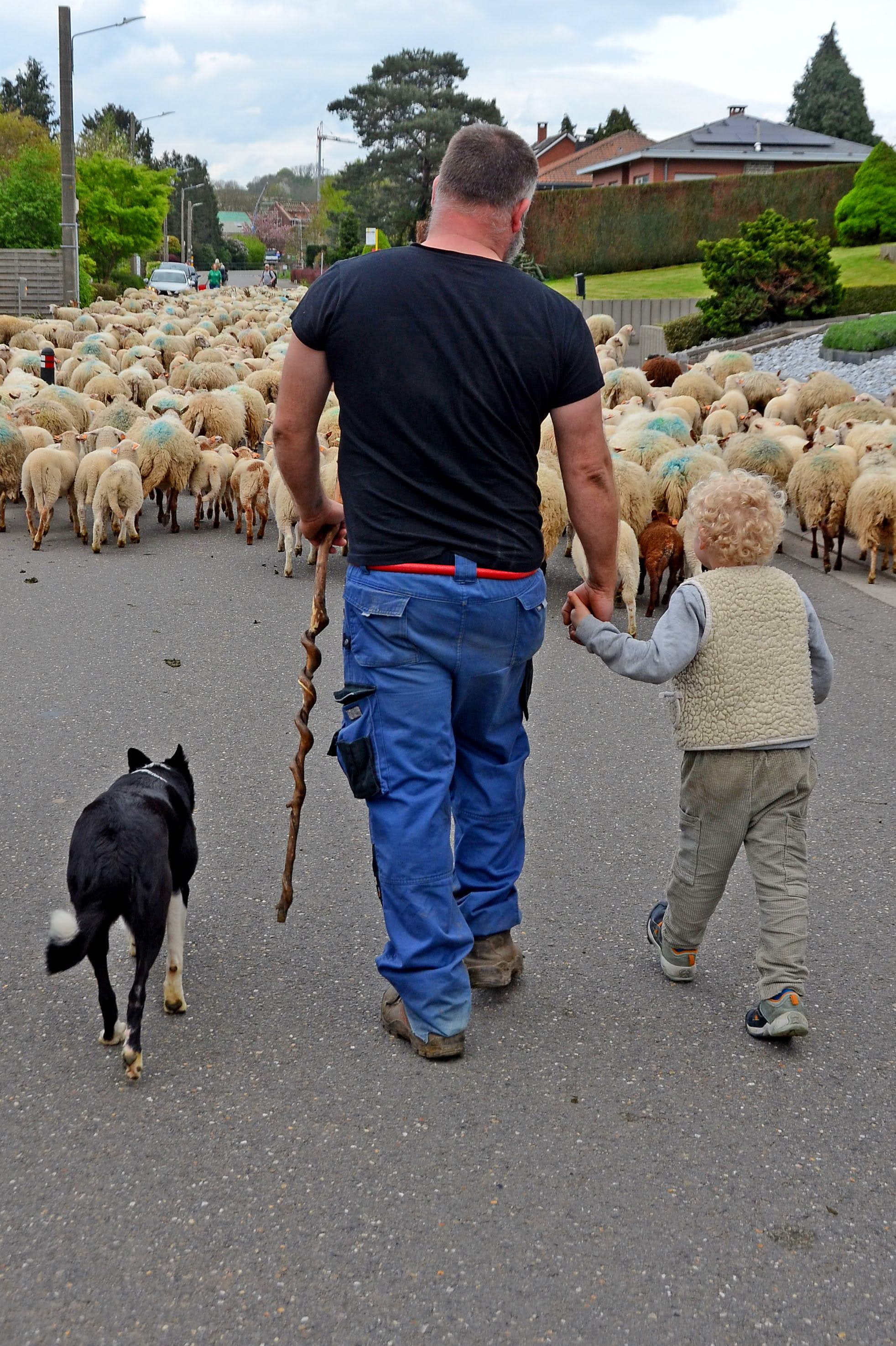 transhumance jour 1-007.JPG